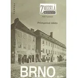 Zmizelá Morava: Brno 3 - Aleš Vyskočil…
