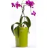 Květináč Plastia Calimera B2 květináč 50 cm zelený
