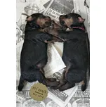 Psí deník - Eva Heyd (2013, pevná)