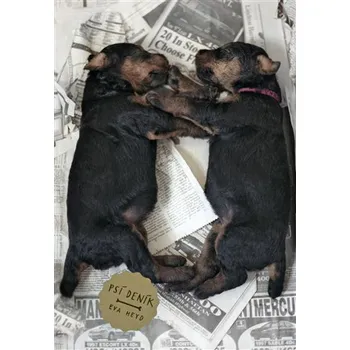 Psí deník - Eva Heyd (2013, pevná)