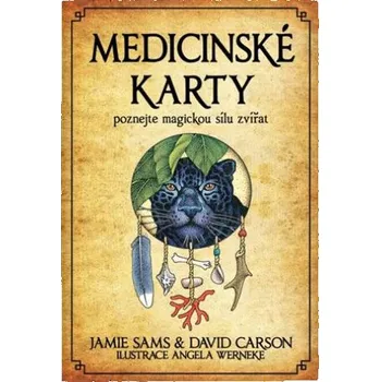 Medicinské karty: Kniha a 52 karet -…