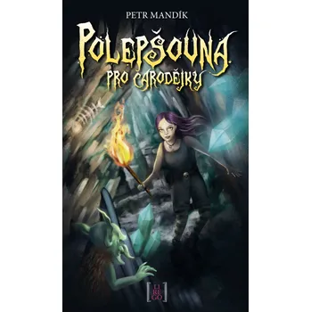 Polepšovna pro čarodějky - Petr Mandík (2019, vázaná)