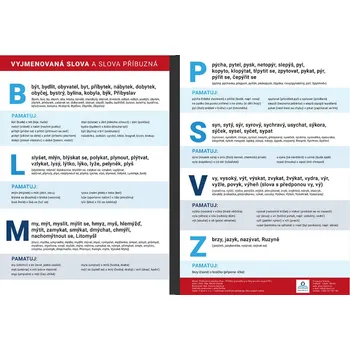 výuková tabulka Vyjmenovaná slova a slova příbuzná - Přehledová tabulka učiva - Staněk Martin