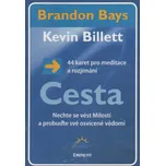 Cesta: 44 karet pro meditace a rozjímán - Brandon Bays, Kevin Billett (2011, brožovaná)