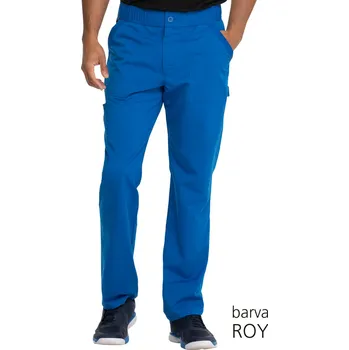 Pánská košile Zdravotnické pracovní kalhoty Dickies Balance DK220 Dickies barvy: ROY, Velikost k: L
