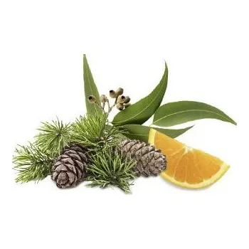 Cedr, eukalyptus, pomeranč (Cedr s vůní pomeranče a eukalyptu)