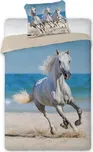 Faro Kůň na pláži 140 x 200, 70 x 90 cm…