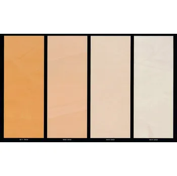 barva na zeď Giorgio Graesan Pigment GG Balení: 750ml