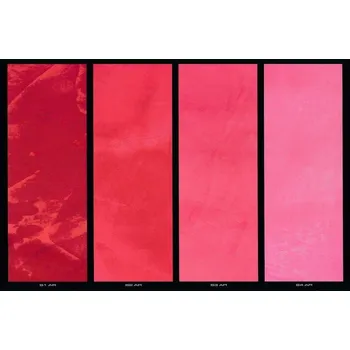 barva na zeď Giorgio Graesan Pigment AR Balení: 62ml