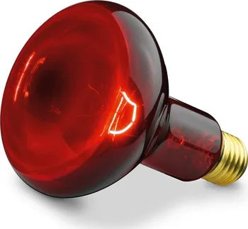 Lampa pro světelnou terapii Beurer BEU-INFRA100W žárovka pro infračervenou lampu
