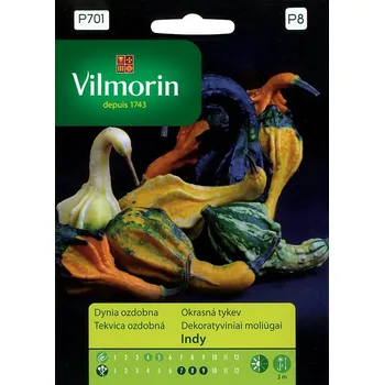 Semeno Okrasná tykev Indy