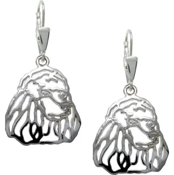 Náušnice Stříbrné Tlapky 333 Pudl II – stříbrné náušnice 925/1000