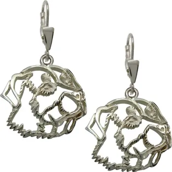 Náušnice Stříbrné Tlapky 179 Rottweiler I – stříbrné náušnice 925/1000