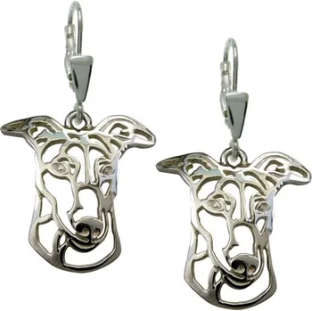 Náušnice Stříbrné Tlapky 314 Greyhound – stříbrné náušnice 925/1000