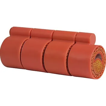 Erler-Zimmer Model aterosklerózy