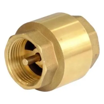 Různí výrobci Zpětná klapka 1" s mosaznou záklopkou 470-320