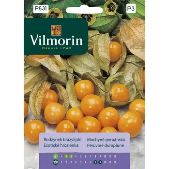 Semeno Vilmorin Mochyně Peruánská jedlá 90 ks