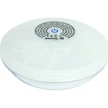 Bestway 58419 LED Floating Pool Light