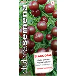 Dobrá semena Rajče tyčkové třešňové…