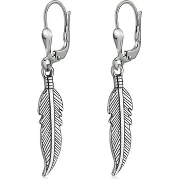 Náušnice Stříbrné visací náušnice peříčka