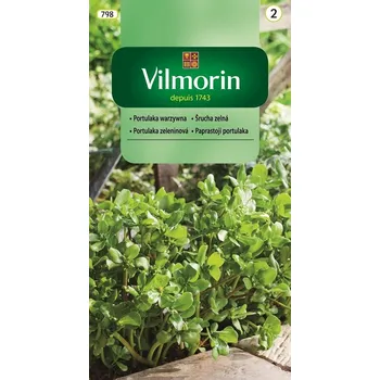 Semeno Vilmorin Šrucha zelená 2 g