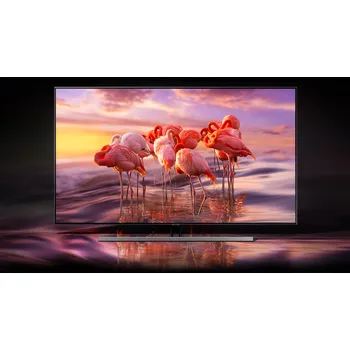 televizor Samsung QE55Q85R