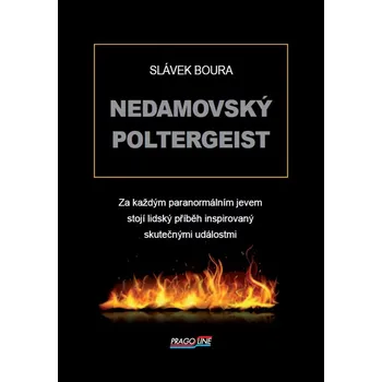 Nedamovský poltergeist - Slávek Boura (2017, brožovaná bez přebalu lesklá)