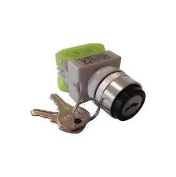 Dětské elektrovozidlo Přepínač rychlostí elektrická čtyřkolka (Přepínač rychlostí Eco ATV)