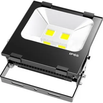 LED venkovní reflektor COB FL07 100W studená bílá