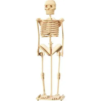 Dřevěná hračka Woodcraft Dřevěné 3D puzzle Kostra