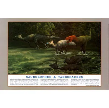 Plakát Plakát Dinosaurs 2