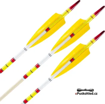 Dřevěná hračka Dřevěný šíp se zdobením II (různé barvy)