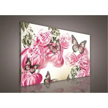 Obraz Obraz na plátně Butterflies 100 x 75 cm