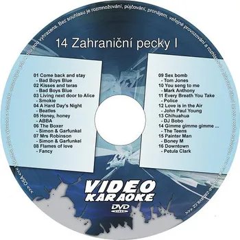 Karaoke Karaoke DVD: 14 Zahraniční pecky I
