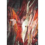 Kusový koberec RUST 21304/910 Red Rozměr 120x170 cm