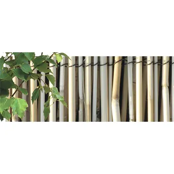 Rohožka Rohož rákos lesklá