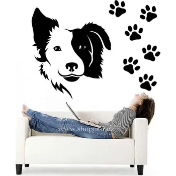 Samolepící dekorace Samolepka na zeď Hlava border kolie s tlapkami (dekorace na zeď)
