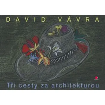 Umění Tři cesty za architekturou - Vávra David