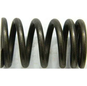 Auto-moto Pružina ventilů na CFMOTO Gladiator 510/X5