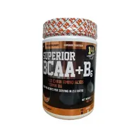 Superior 14 BCAA + B6