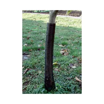 Přípravek proti hmyzu Flexguard Ochrana stromků 11 x 80 cm 3 ks