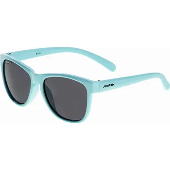 Příslušenství pro cyklistiku Alpina Luzy