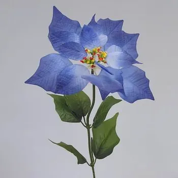 umělá květina Poinsettie x1/22/V50cm modrá (BC51267/B)