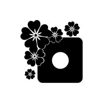 Samolepící dekorace Samolepící velurová ochrana vypínače Květiny - mix barev