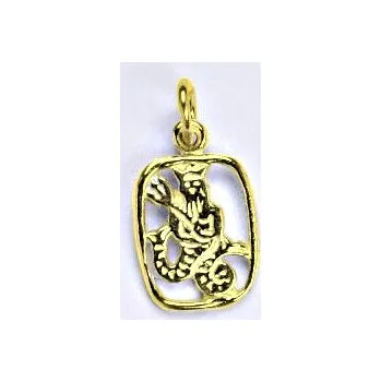 Přívěsek Zlatý přívěsek, znamení zvěrokruhu vodnář, žluté zlato,14 kt, P 730