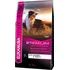 Krmivo pro psa Eukanuba Adult Jogging & Agility