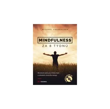 Osobní rozvoj Mindfulness za 8 týdnů - Michael Chaskalson