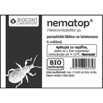 Nematop Heterorhabditis na hubení lalokonosců 50 milionů hlístic