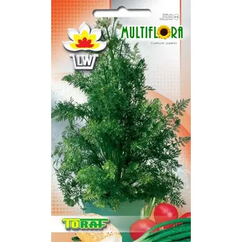 Semeno Semena KMÍN KOŘENNÝ - Carum carvi (1g)