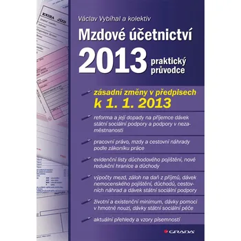 Mzdové účetnictví 2013